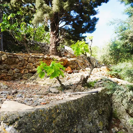 Le Seminaire Tres Grande Maison Pour 10 Personnes Fitou