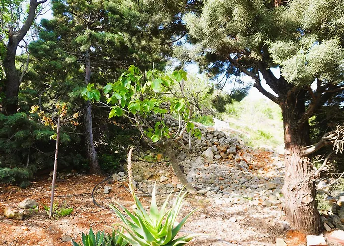 בית נופש Le Seminaire Fitou