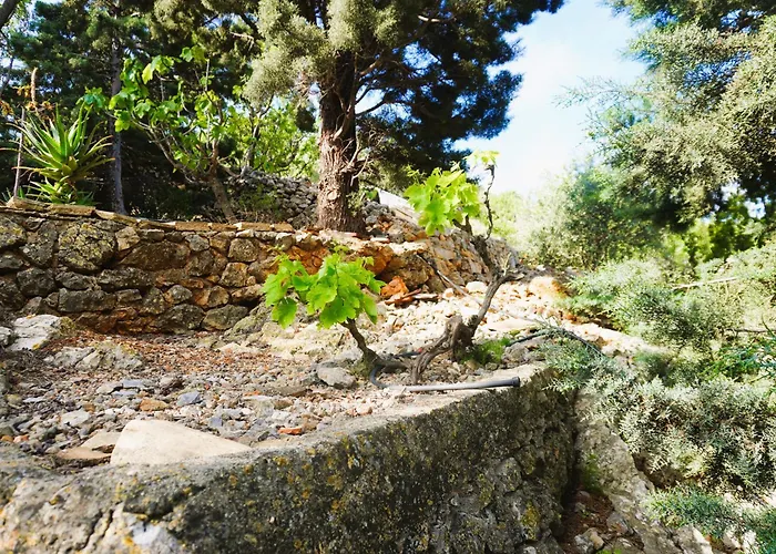 Le Seminaire Tres Grande Maison Pour 10 Personnes Fitou